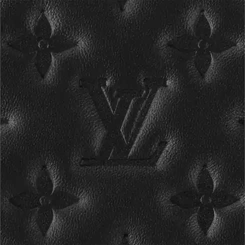 louisvuitton